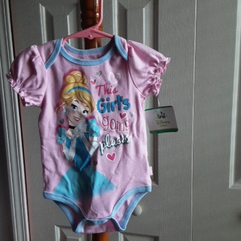 Disney Pink and Blue Princess Bodysuit